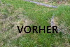Vorher-1