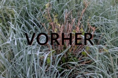 Vorher-5