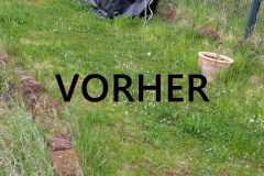 Vorher-6