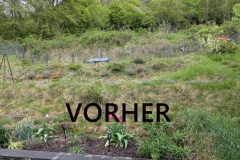 Vorher-7